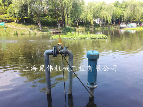 河道治理沉水式鼓水蜜桃视频污在线观看 河道治理沉水式鼓水蜜桃视频污在线观看