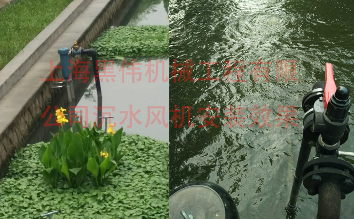 沉水水蜜桃视频污在线观看效果